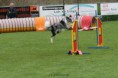 /album/fotogallerij/gorinhem-05-05-19-jpg/